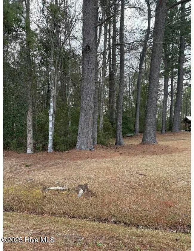 476 Dothan Road, Home with 0 bedrooms, 0 bathrooms and null parking in Tabor City NC | Image 8
