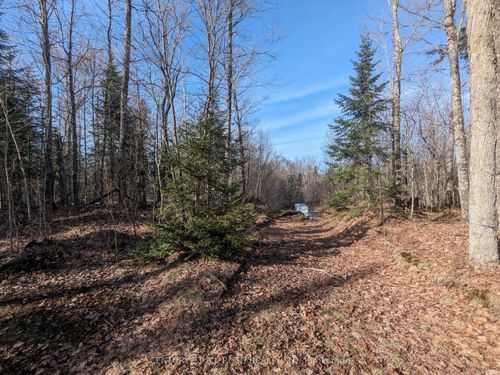 11146 On-118, Algonquin Highlands, ON, K0M | Card Image