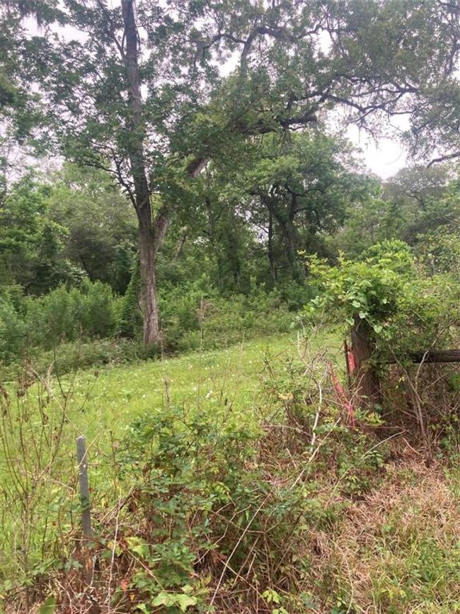 2872 Brazoria County Rd, Home with 0 bedrooms, 0 bathrooms and null parking in Angleton TX | Image 8