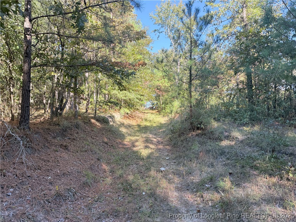 Land in Hope Mills 3