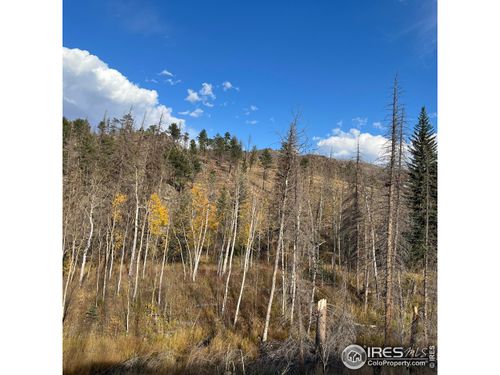 11 Monument Gulch Way, Bellvue, CO, 80512 | Card Image