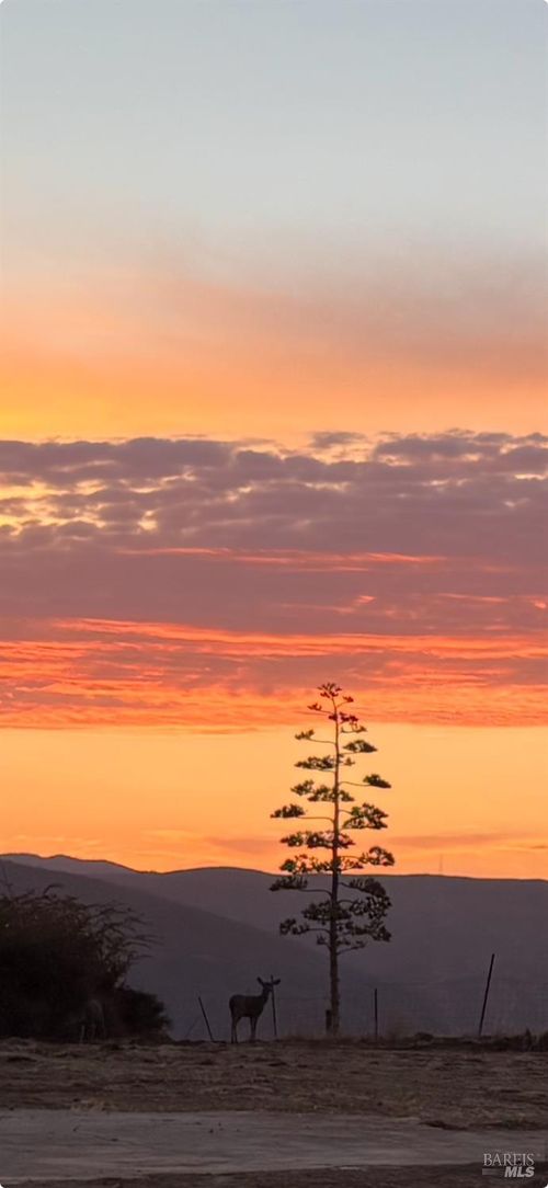 1065 Rimrock Dr, Napa, CA, 94558-9769 | Card Image