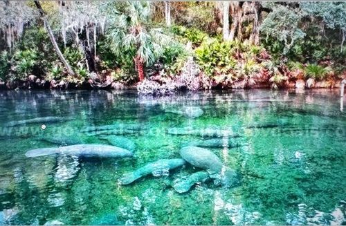 1 Werley Trail, Deland, FL, 32720 | Card Image