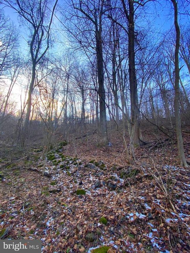 00 Hickory Tree Rd, Home with 0 bedrooms, 0 bathrooms and null parking in FRONT ROYAL VA | Image 21