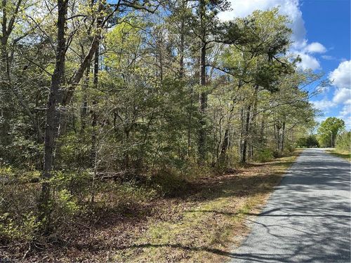 00 Briery Swamp Rd, Jamaica, VA, 23079 | Card Image