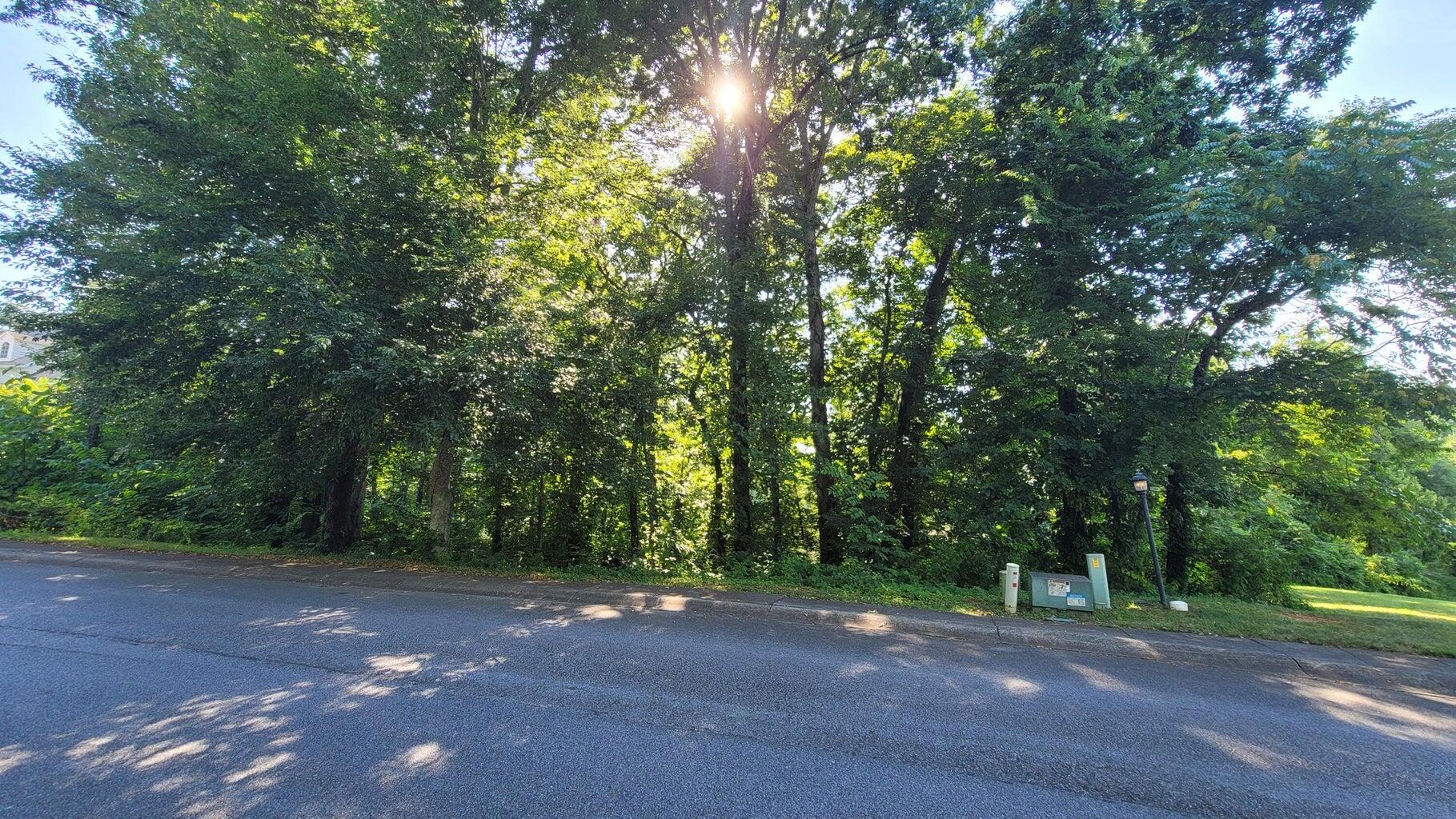 2021 Majestic Circle, For Sale in Dandridge Zoocasa