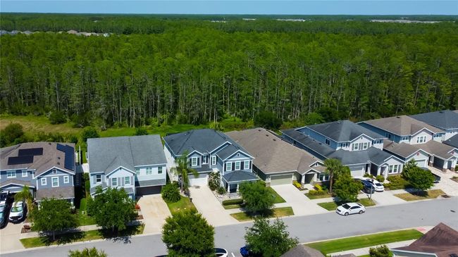 14975 Renaissance Ave, House other with 4 bedrooms, 3 bathrooms and null parking in ODESSA FL | Image 66
