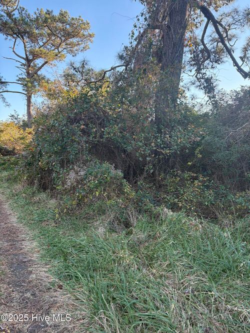 196 Styron Creek Rd, Sealevel, NC, 28577-9618 | Card Image