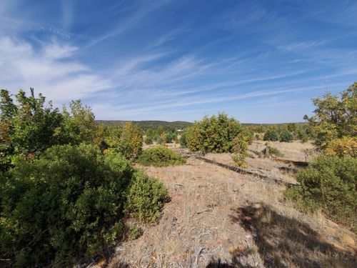 TBD White Cloud Ln, Pinedale, AZ, 85934 | Card Image
