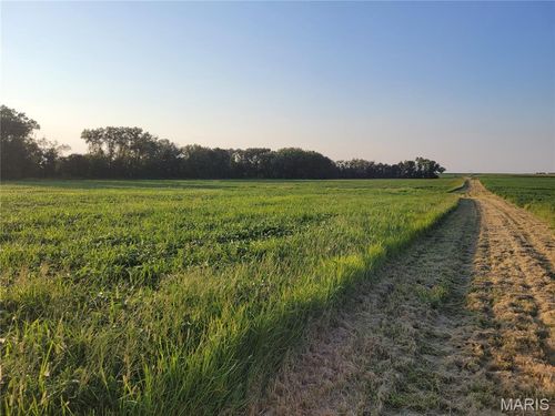 0 Hwy Dd (46+/- Ac) Tract F, Bellflower, MO, 63333 | Card Image