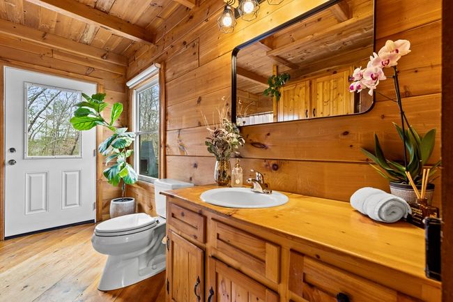 1994 Douthit Rd, Home with 3 bedrooms, 2 bathrooms and 3 parking in Mineral Bluff GA | Image 17