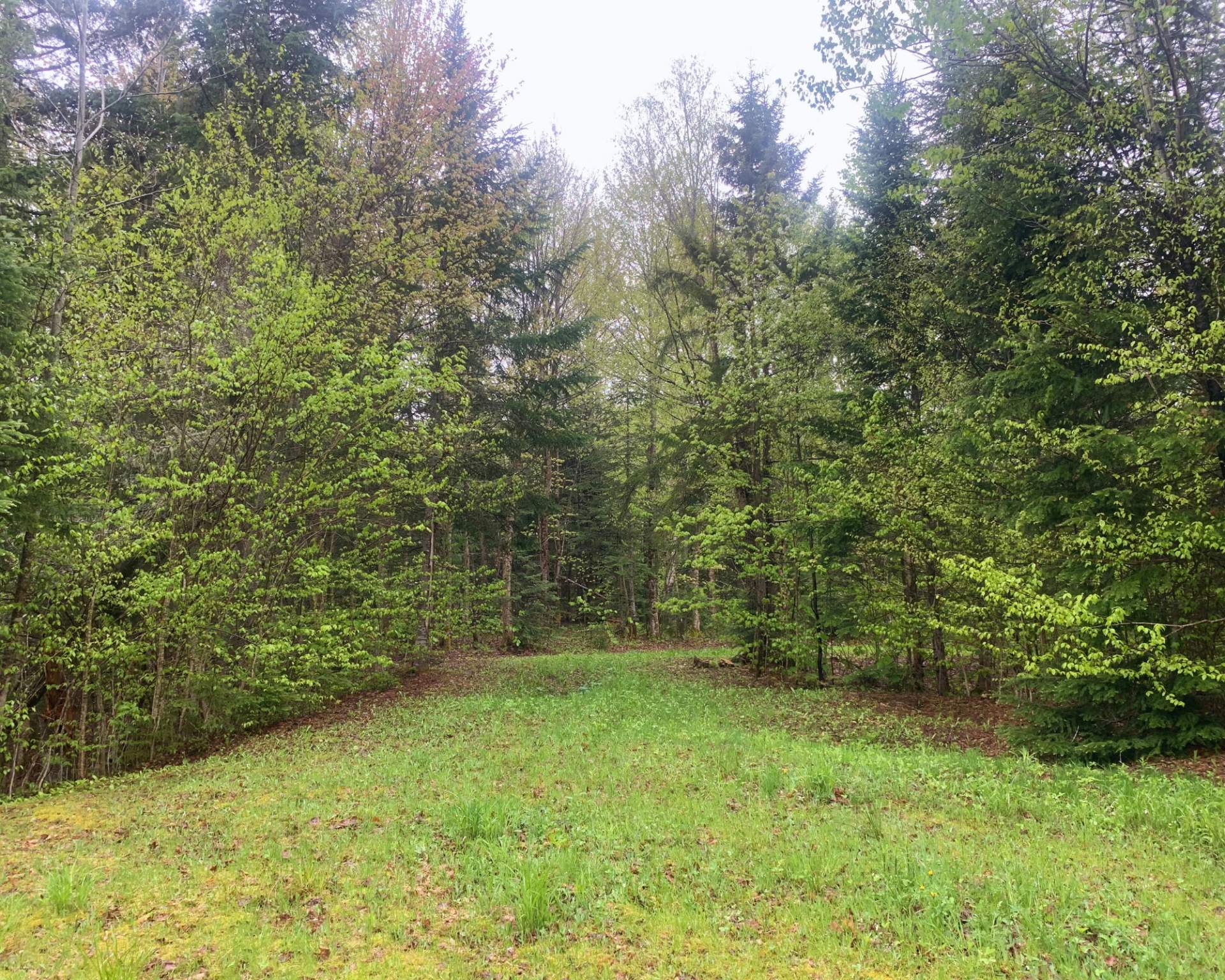 Land in Notre-Dame-des-Bois 3