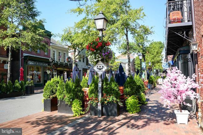 APT-507 - 915 N Patrick St, Condo with 1 bedrooms, 1 bathrooms and null parking in ALEXANDRIA VA | Image 29