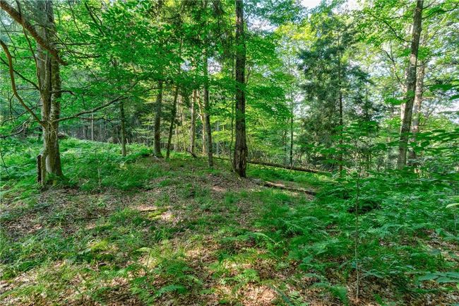 View of landscape | Image 17