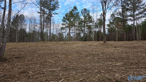 Lot 49 and 50 Lake View Drive, Mentone, AL, 35984 | Card Image