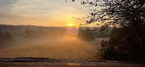 4515 Wallen Rd, Summersville, MO, 65571-8258 | Card Image