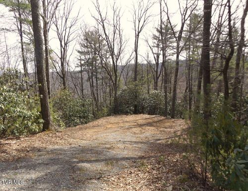 704 Heartwood Ln, Butler, TN, 37640-5923 | Card Image