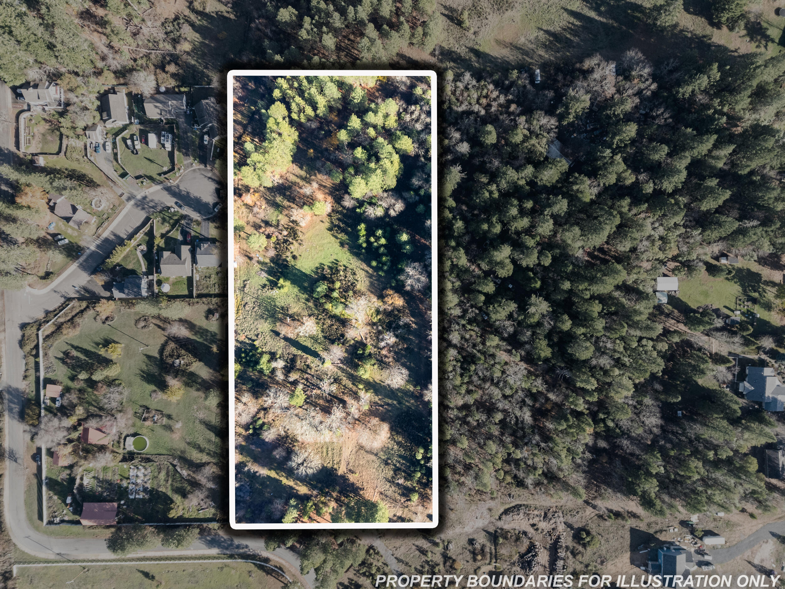 Land in Cave Junction 2