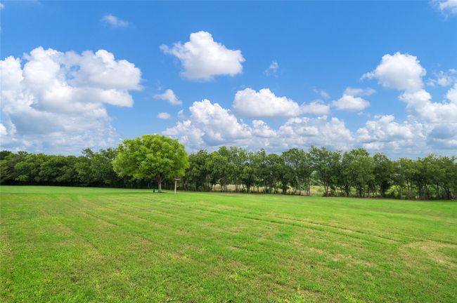View of grassy yard | Image 33
