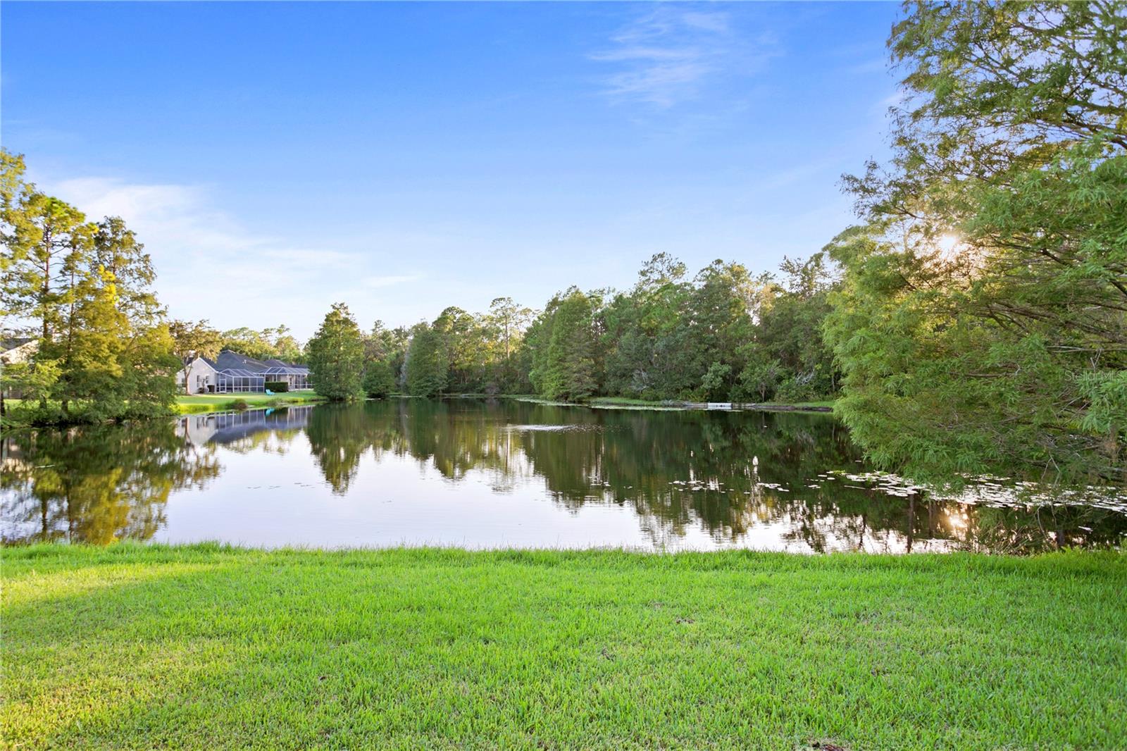 Residential Lease in TAMPA 4
