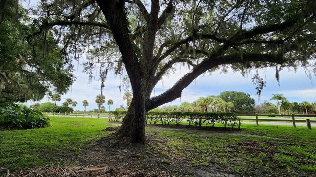 295 Bear Trl, Home with 0 bedrooms, 0 bathrooms and null parking in RIVER RANCH FL | Image 14