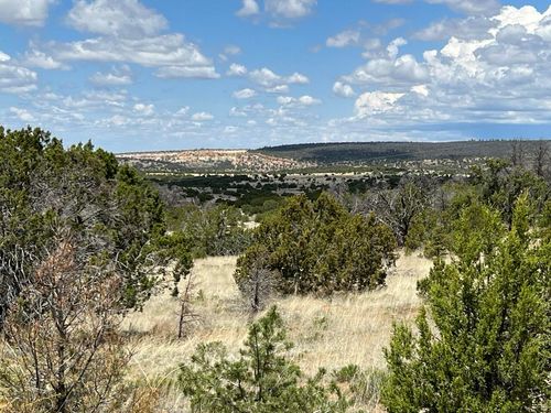 Lot 306 Edgewood Drive, Ramah, NM, 87321 | Card Image