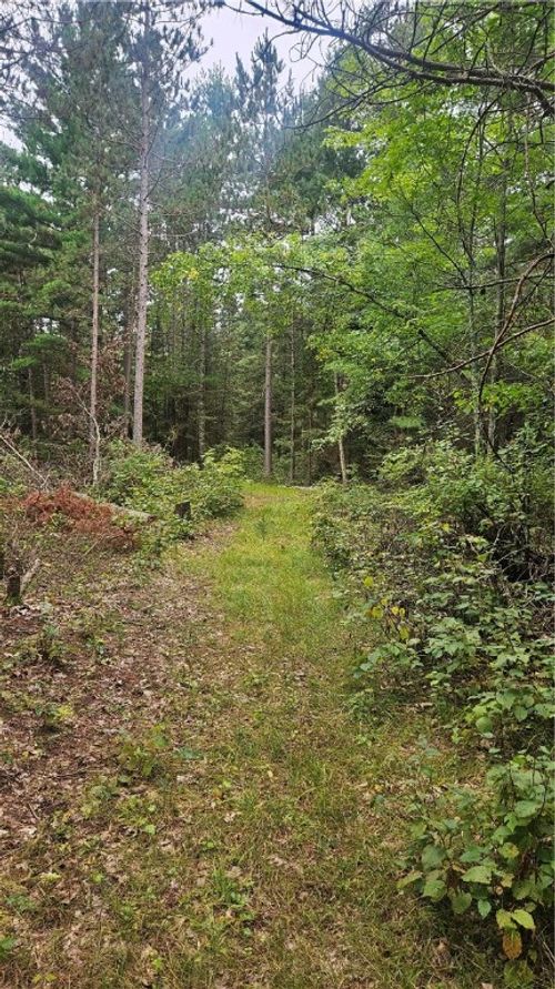 1 W Hazelnut Ln, Hayward, WI, 54843 | Card Image