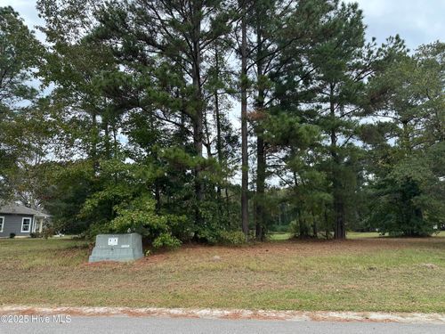 173 Cherry Laurel Dr, Wallace, NC, 28466-2423 | Card Image