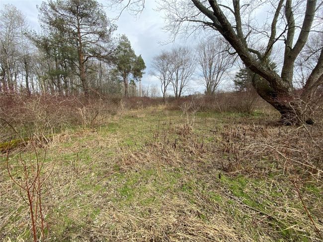 0 Pa 99 Highway, Home with 0 bedrooms, 0 bathrooms and null parking in Cambridge Springs PA | Image 7