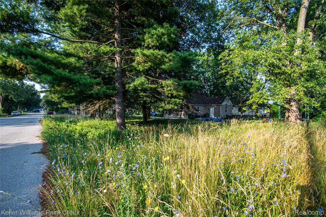 DSC_4092.jpg | Image 8