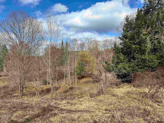 9 Hodge Hill Rd, Home with 0 bedrooms, 0 bathrooms and null parking in Lisbon NH | Image 8