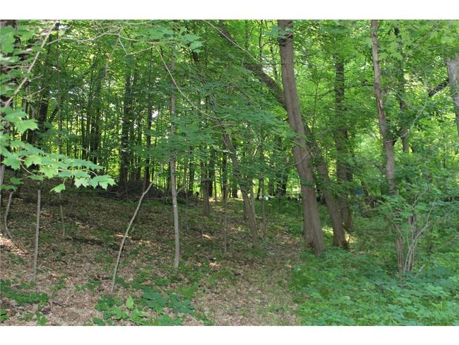 12581 Big Trade Rd, House other with 2 bedrooms, 1 bathrooms and null parking in Grantsburg WI | Image 26