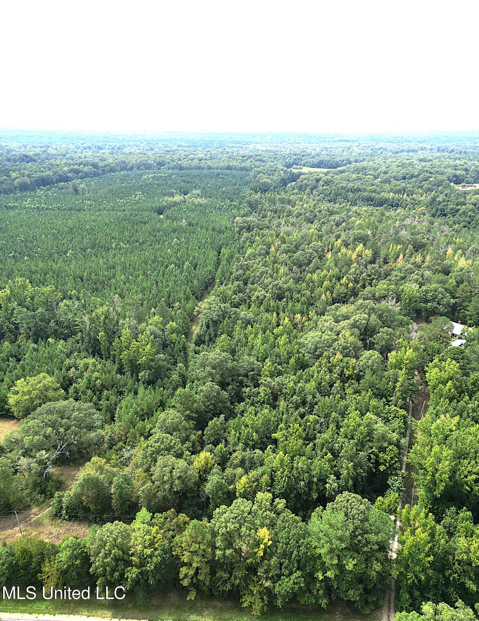 Land in Jackson
