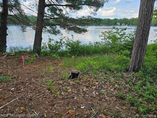 12 Paradise Dr, South Branch, MI, 48761 | Card Image