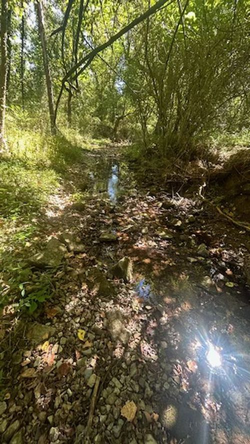 0 Holmes Gap Rd, Brush Creek, TN, 38547 | Card Image