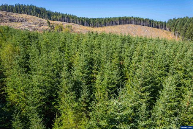 0 Bald Mountain Rd, Home with 0 bedrooms, 0 bathrooms and null parking in Beaver OR | Image 10