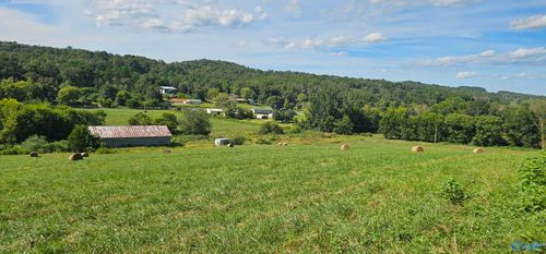 14334 County Road 91, Bryant, AL, 35958 | Card Image