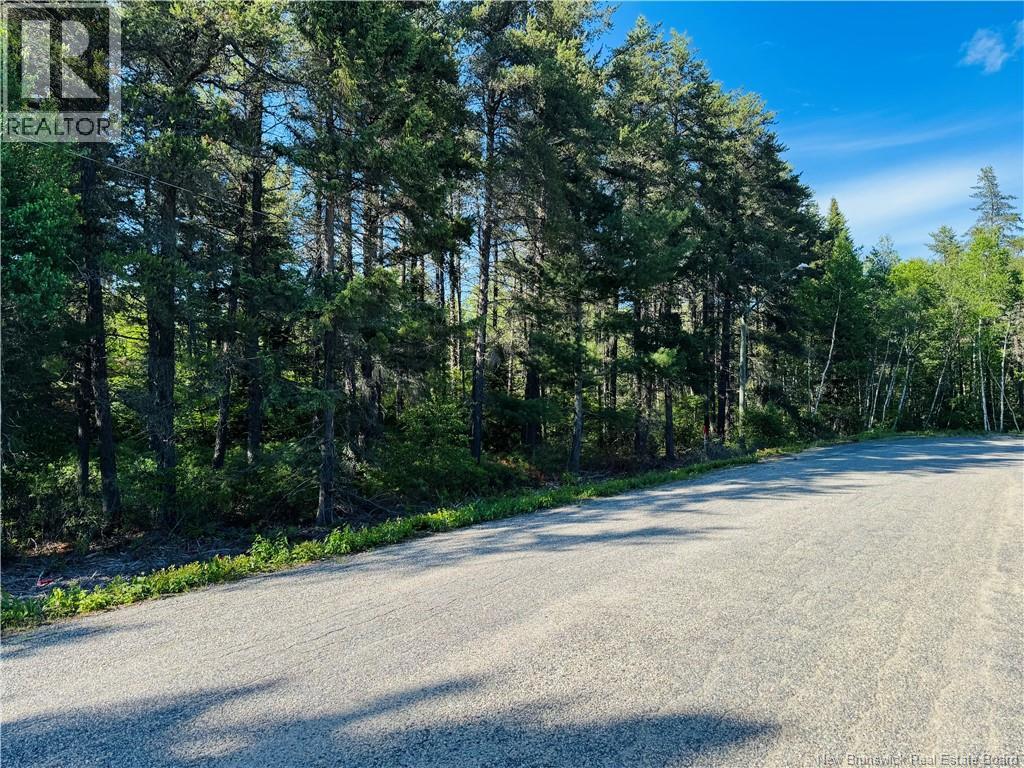 Land in Miramichi 3