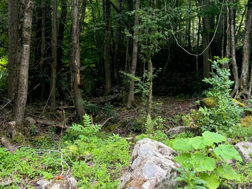 Tbd Stocton Rd, Roan Mountain, TN, 37687 | Card Image