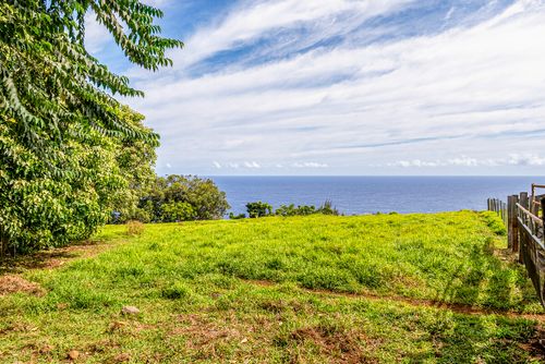 36-2615 Laupahoehoe Point Rd, Ookala, HI, 96774 | Card Image