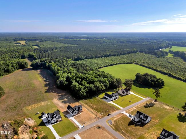 14-DJI_20250607084653_0034_D | Image 48