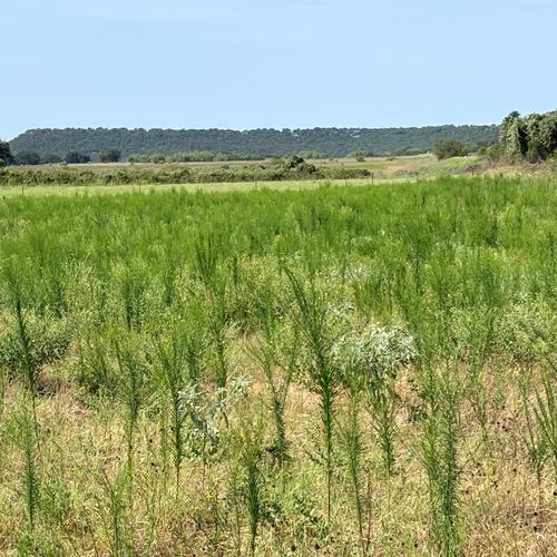 tbd Keller, Mineral Wells, TX, 76067 | Card Image