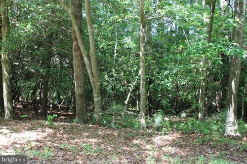 1950 Buccaneer Blvd, GREENBACKVILLE, VA, 23356 | Card Image