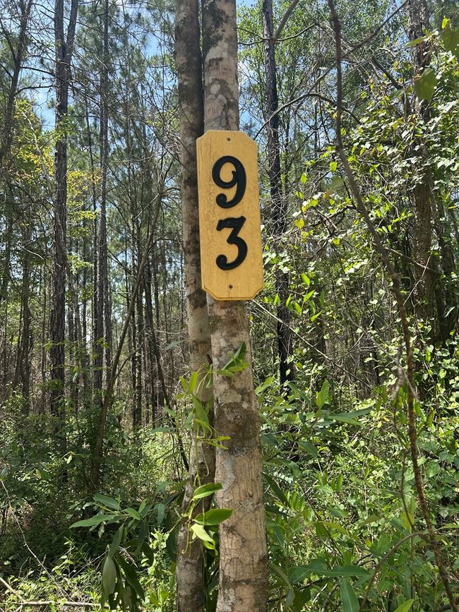93 Lazy Oak Ln, Home with 0 bedrooms, 0 bathrooms and null parking in Picayune MS | Image 4