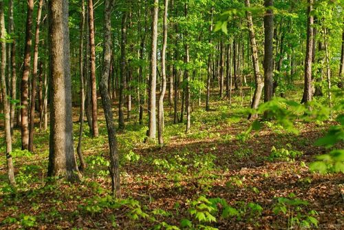 11261 21 Mile Rd, Shelby Twp, MI, 48317-3503 | Card Image