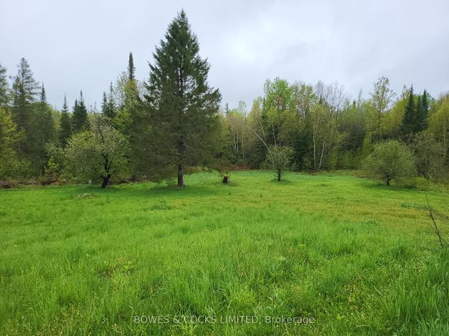 447 Frantz Rd, House other with 2 bedrooms, 1 bathrooms and 3 parking in Maynooth ON | Image 37
