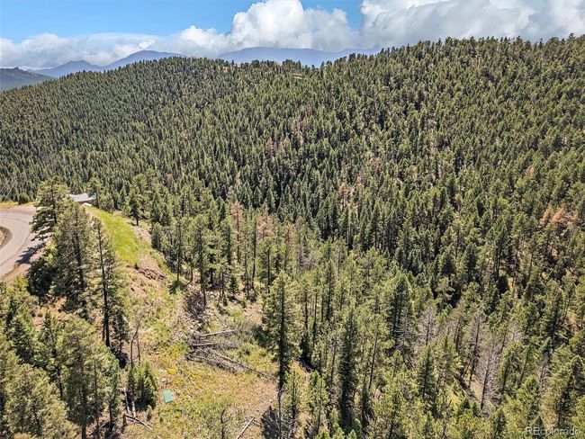 13809 Elsie Rd, Home with 0 bedrooms, 0 bathrooms and null parking in Conifer CO | Image 6