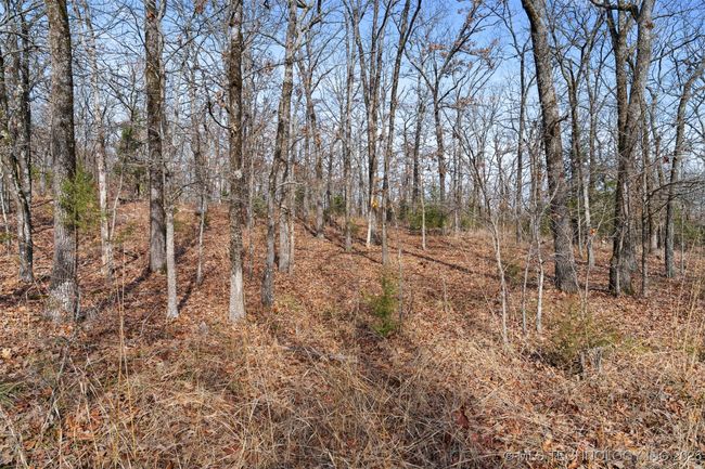 00 Mckey Rd, Home with 0 bedrooms, 0 bathrooms and null parking in Vian OK | Image 7