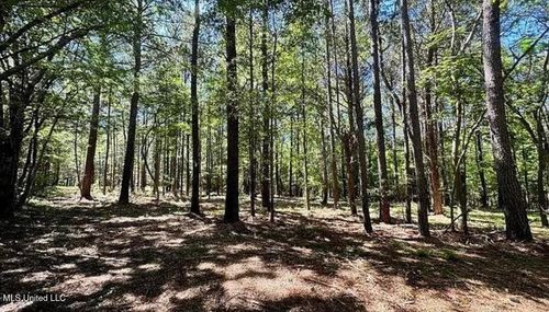 1 Robinson Rd, Canton, MS, 39046 | Card Image