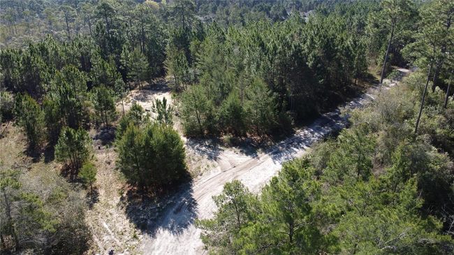 20-07S-04W-4212-0044-0080 Avenue J N, Home with 0 bedrooms, 0 bathrooms and null parking in CARRABELLE FL | Image 10